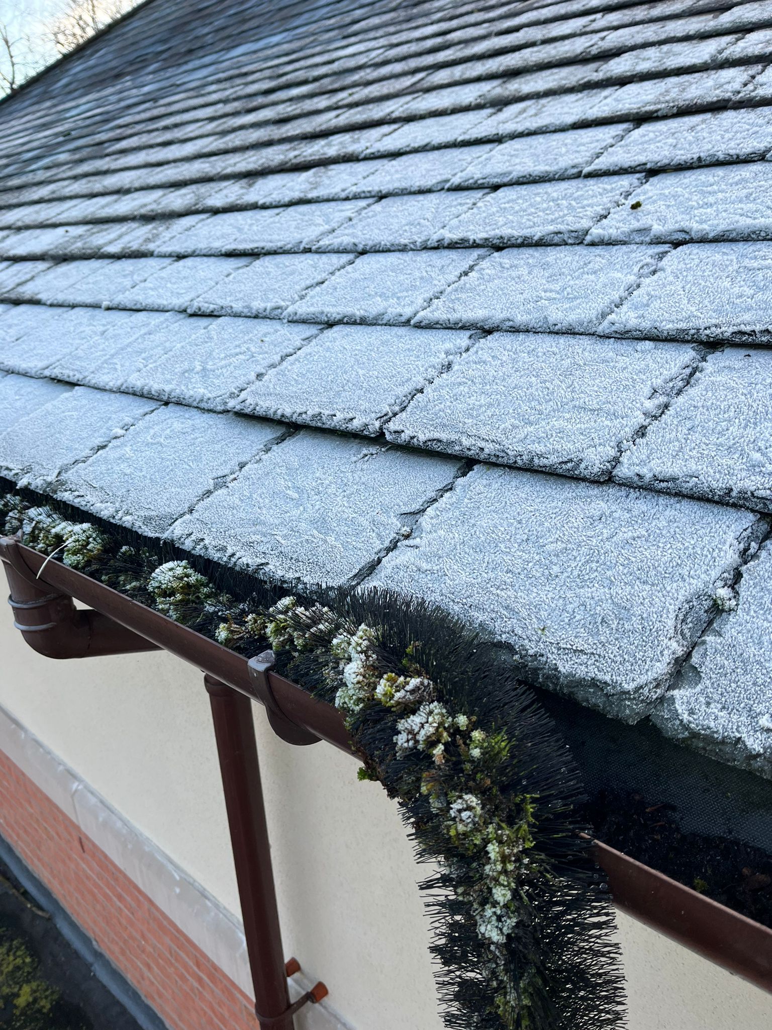 Gutter Cleaning