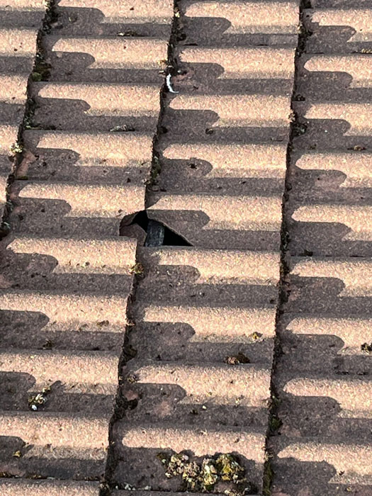 Roof Cleaning