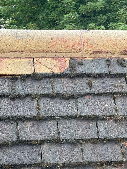 Roof Cleaning