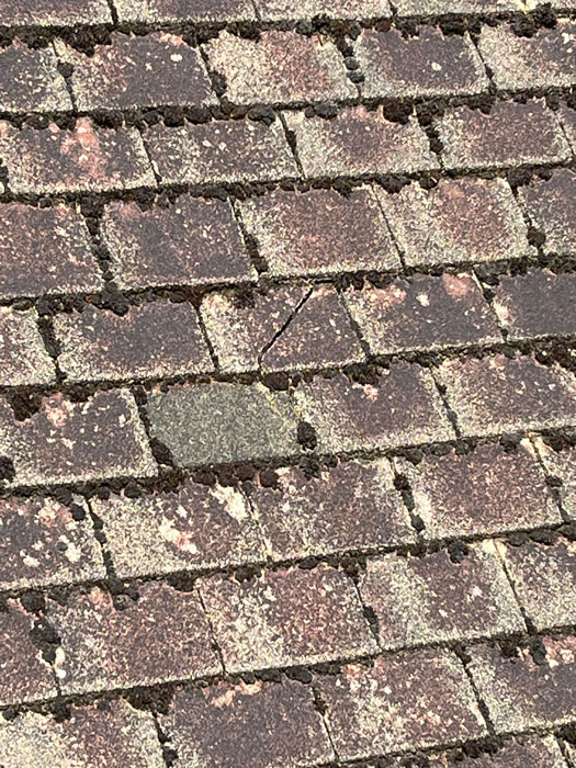 Roof Cleaning
