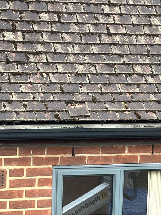 Roof Cleaning