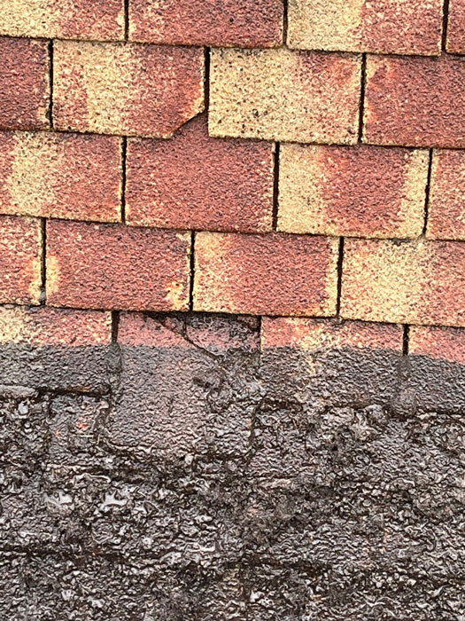 Roof Cleaning