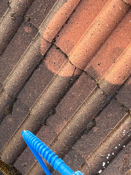 Roof Cleaning