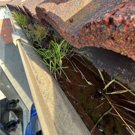 Gutter Cleaning