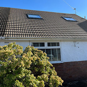 Roof Cleaning