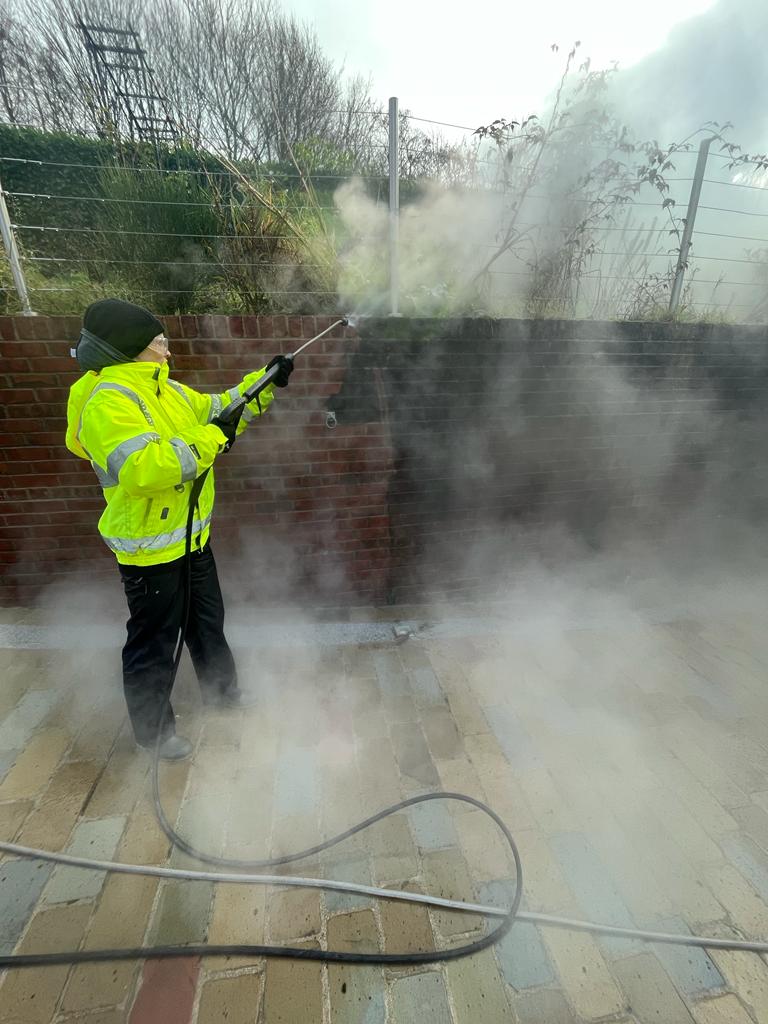 Stone/Brick Cleaning