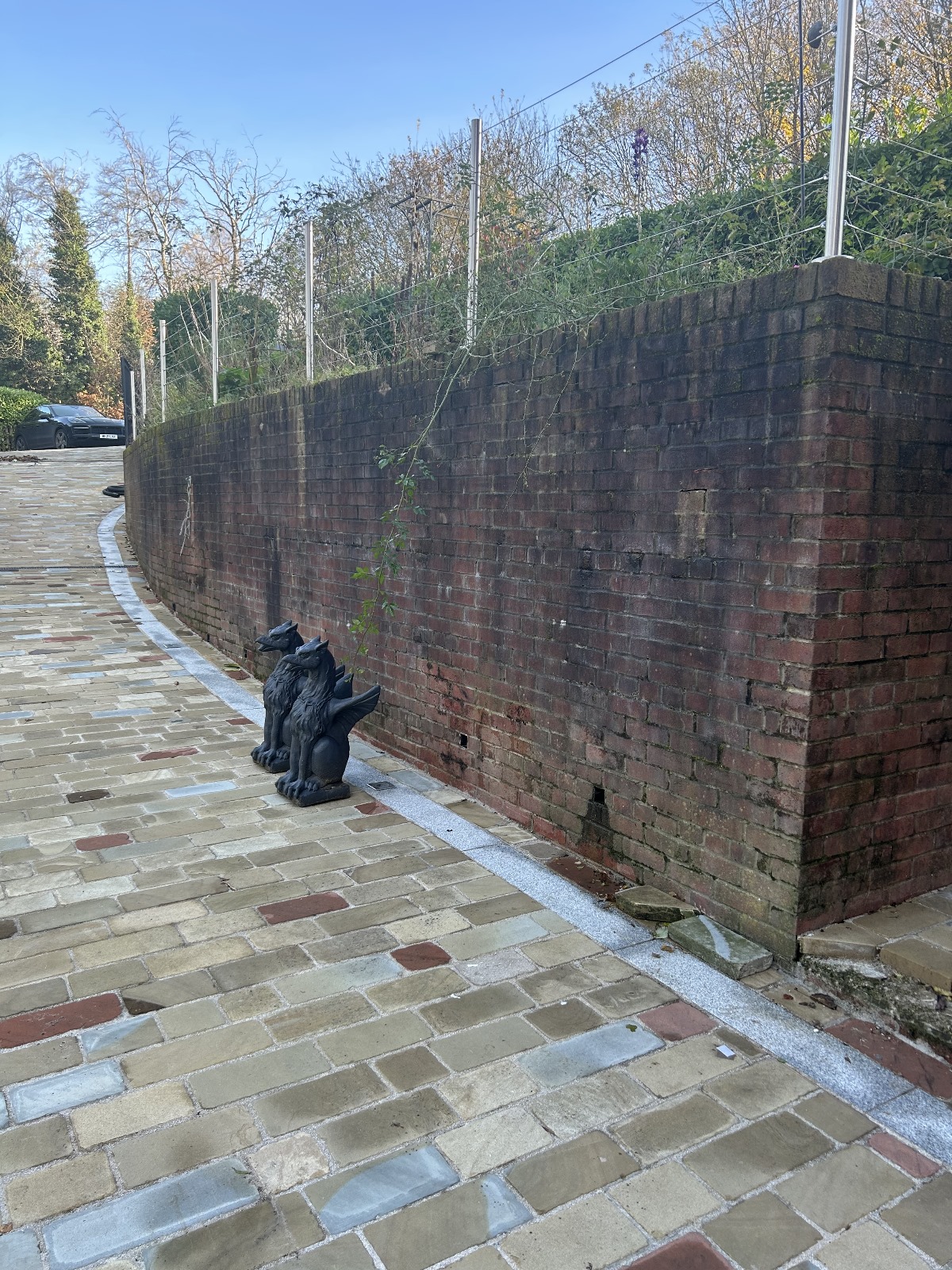 Stone/Brick Cleaning